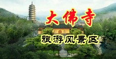 啊啊啊,大鸡巴用力肏我视频中国浙江-新昌大佛寺旅游风景区